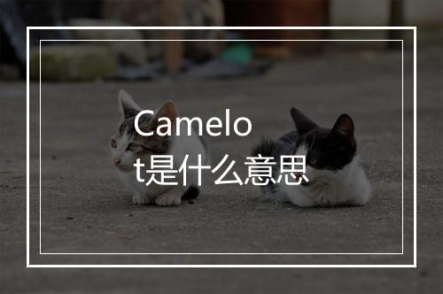 Camelot是什么意思