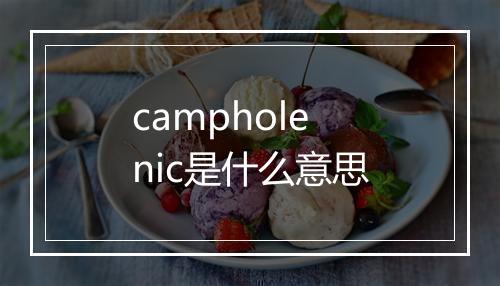 campholenic是什么意思