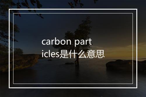 carbon particles是什么意思