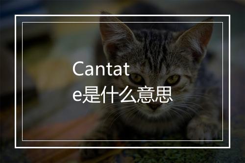 Cantate是什么意思