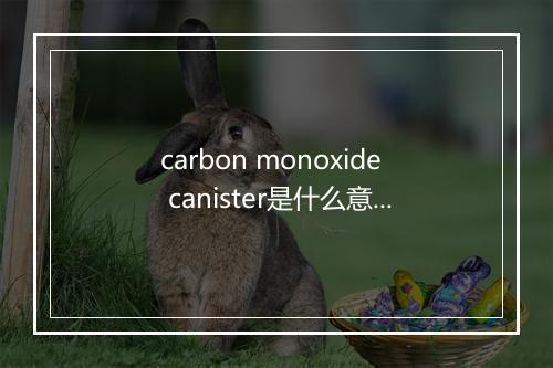 carbon monoxide canister是什么意思