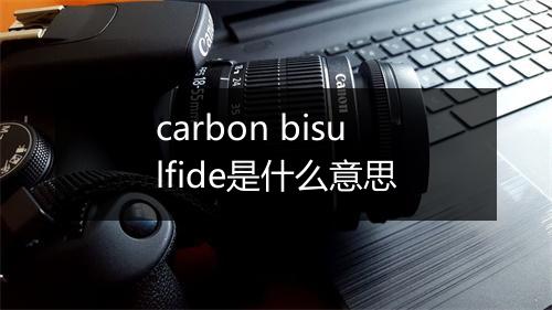 carbon bisulfide是什么意思