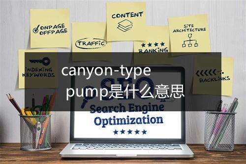 canyon-type pump是什么意思