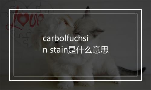 carbolfuchsin stain是什么意思