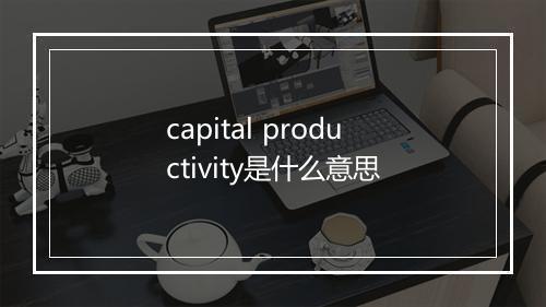 capital productivity是什么意思