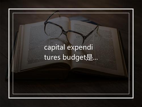 capital expenditures budget是什么意思