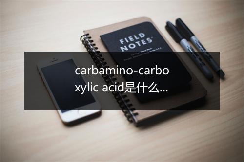 carbamino-carboxylic acid是什么意思