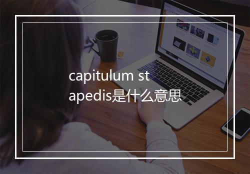 capitulum stapedis是什么意思