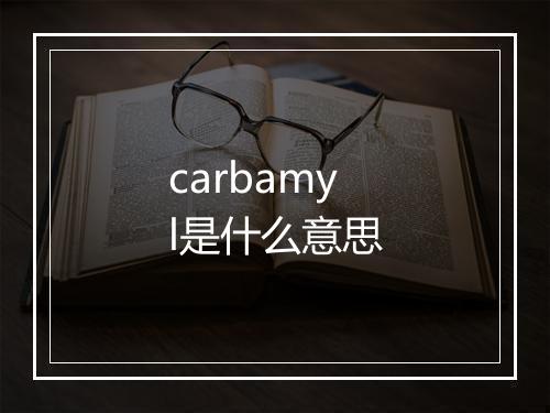 carbamyl是什么意思