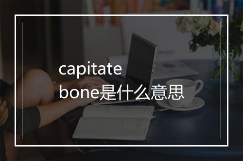 capitate bone是什么意思