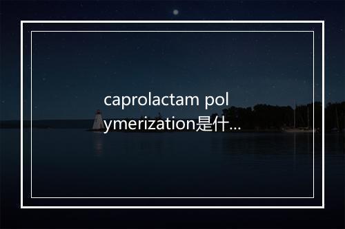 caprolactam polymerization是什么意思