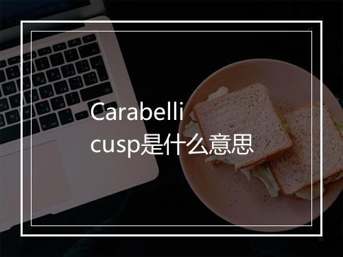 Carabelli cusp是什么意思