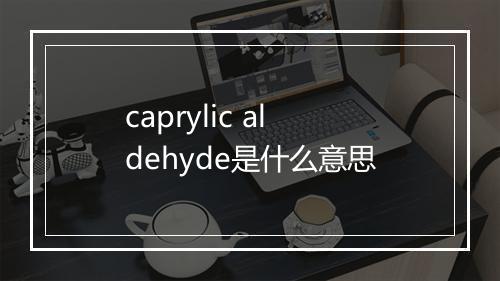 caprylic aldehyde是什么意思