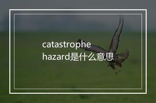 catastrophe hazard是什么意思