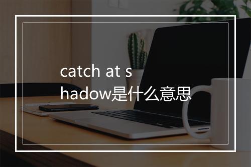 catch at shadow是什么意思