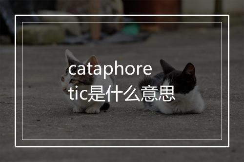 cataphoretic是什么意思