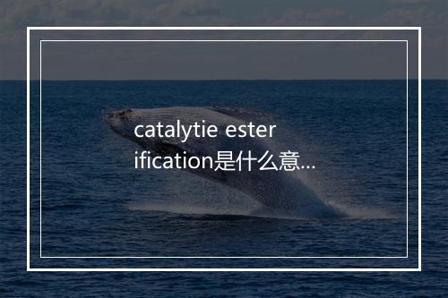 catalytie esterification是什么意思