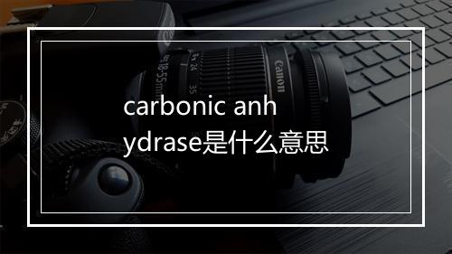 carbonic anhydrase是什么意思