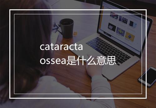 cataracta ossea是什么意思