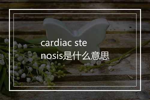 cardiac stenosis是什么意思