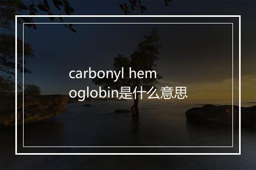 carbonyl hemoglobin是什么意思