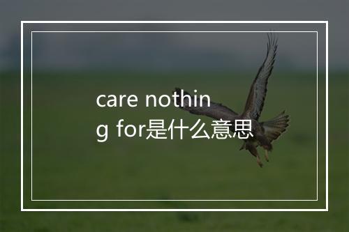 care nothing for是什么意思