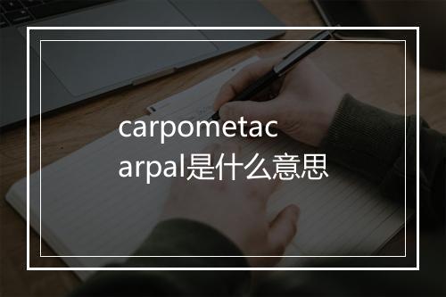 carpometacarpal是什么意思