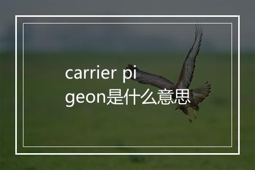 carrier pigeon是什么意思