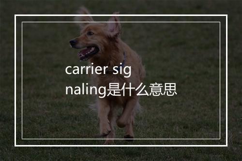 carrier signaling是什么意思