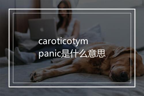 caroticotympanic是什么意思