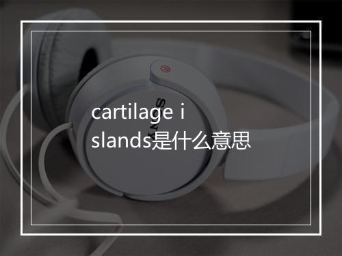 cartilage islands是什么意思