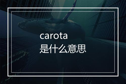 carota是什么意思