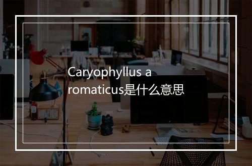 Caryophyllus aromaticus是什么意思