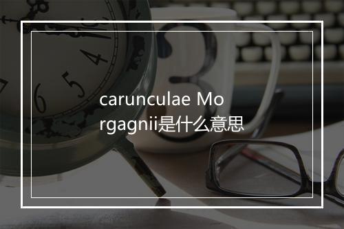 carunculae Morgagnii是什么意思