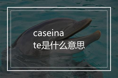 caseinate是什么意思