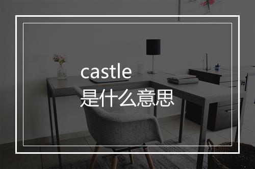 castle是什么意思