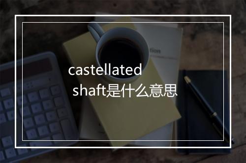 castellated shaft是什么意思