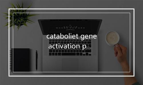 cataboliet gene activation protein是什么意思