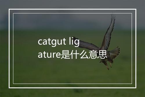 catgut ligature是什么意思