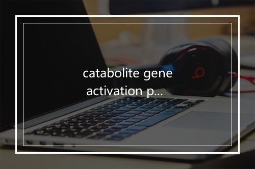 catabolite gene activation protein (CAP)是什么意思