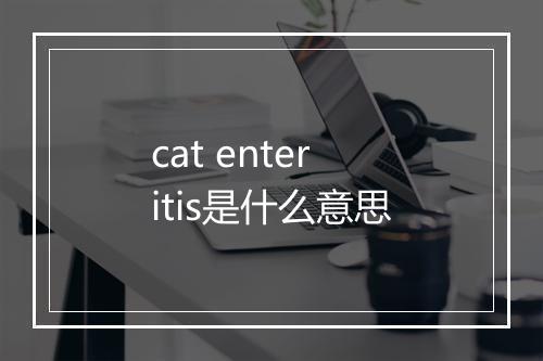 cat enteritis是什么意思