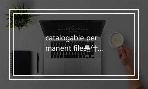 catalogable permanent file是什么意思