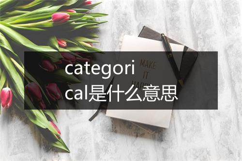 categorical是什么意思