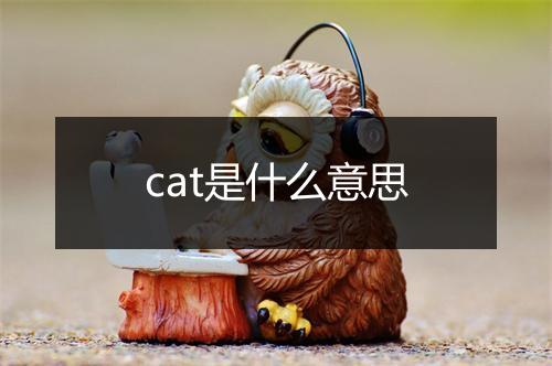 cat是什么意思