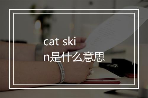 cat skin是什么意思