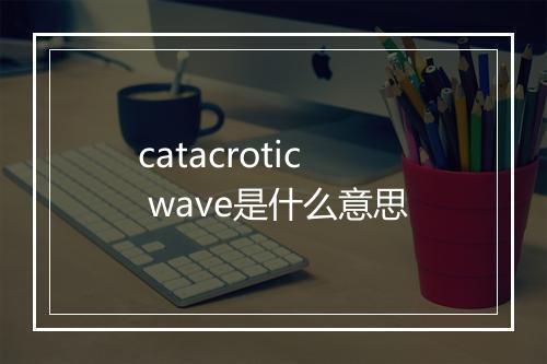 catacrotic wave是什么意思