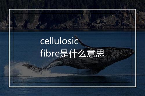 cellulosic fibre是什么意思