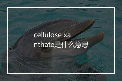 cellulose xanthate是什么意思