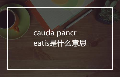 cauda pancreatis是什么意思