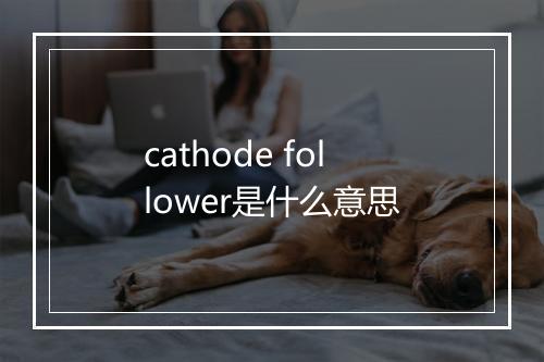 cathode follower是什么意思